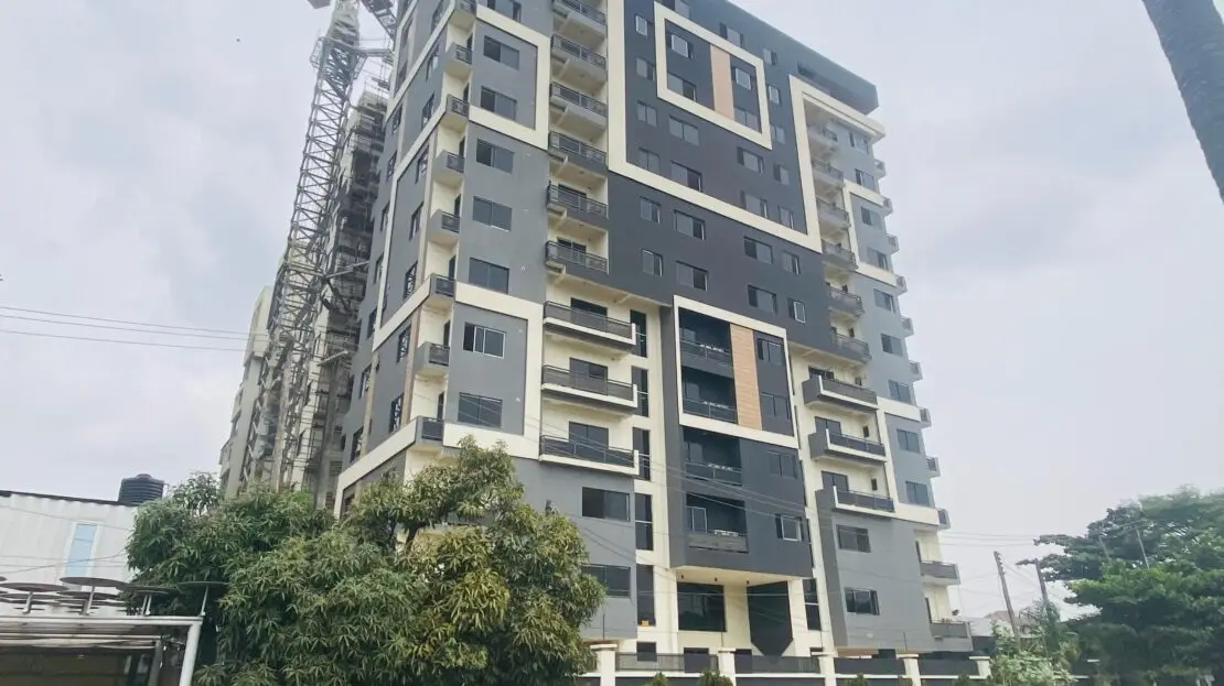 video image